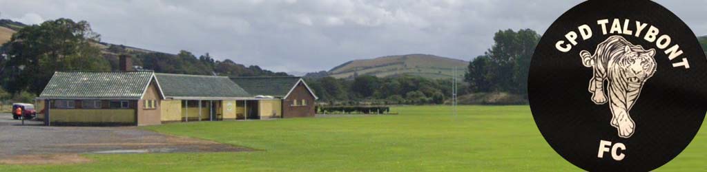 Blaendolau Playing Fields